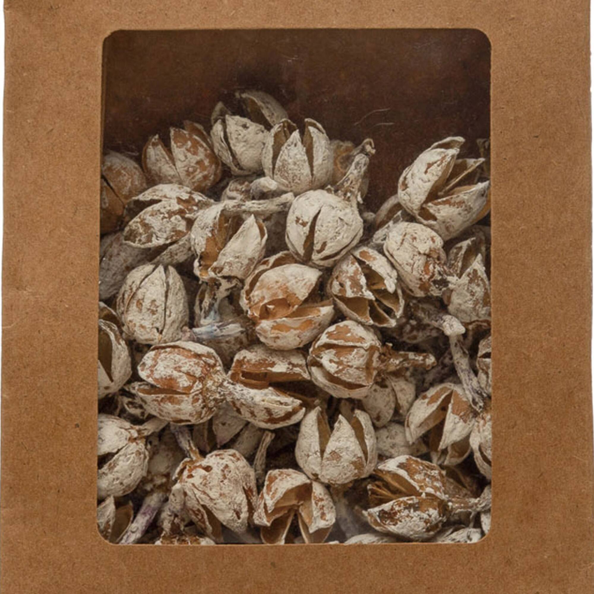 Hello Honey® 4oz. Dried Pods